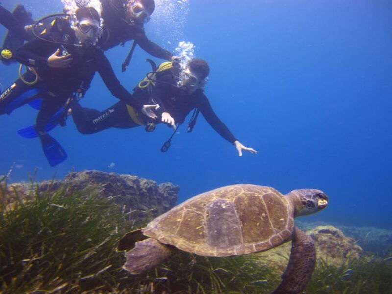 city-of-side-underwater-museum-scuba-diving-visit