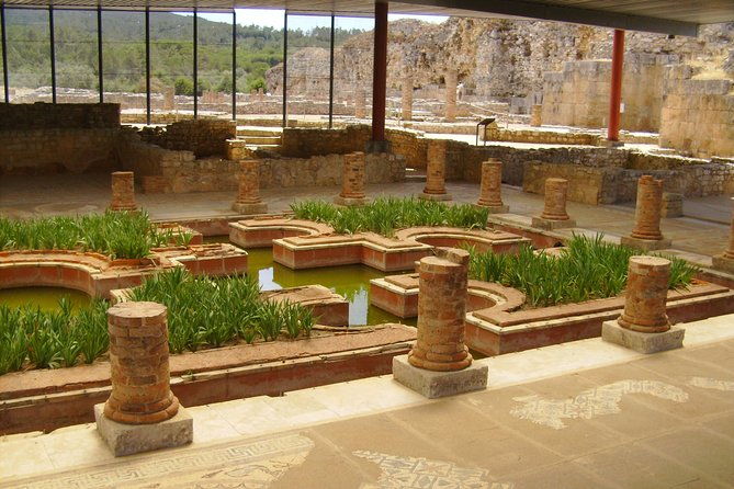 city-of-students-coimbra-private-tour-from-lisbon