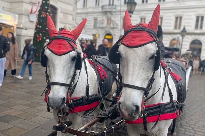 city-quest-vienna-uncover-the-secrets-of-this-city