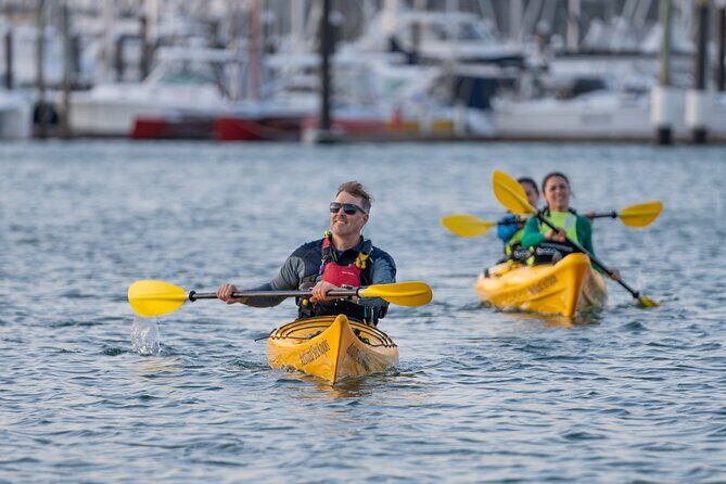 City Scenes Kayak Tour in Auckland - Explore the Waterfront - A Detailed Look at the Auckland Waterway Experience