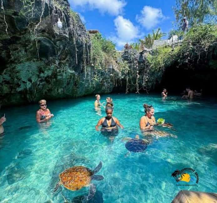 City Tour at Stone town, Jozani Forest and Salam Cave - Key Points