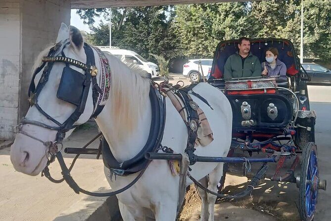 City Tour by Horse Carriage and Sailing Felucca from Cairo/Giza Hotels - Why This Tour is Worth It