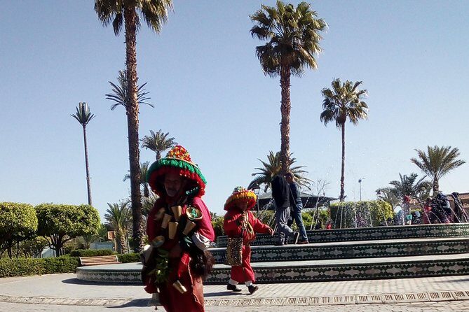 City Tour & Camel Ride - A Deep Dive into the Marrakech City Tour & Camel Ride