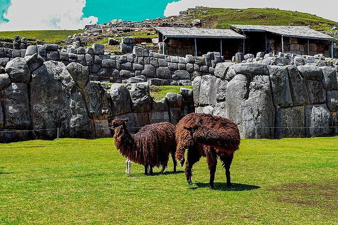 city-tour-cusco-private-service