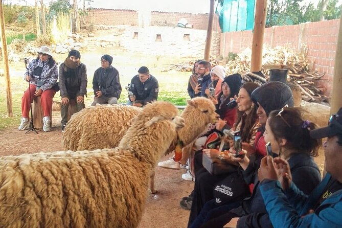 city-tour-cusco-with-local-dance