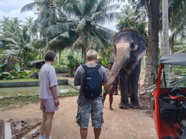 city-tour-discover-aluthgama-with-thrilling-adventures