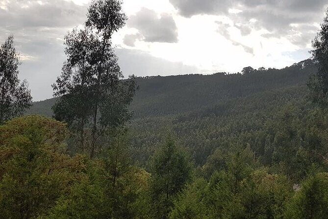 City tour of Addis, Transit in Addis by car - Discovering Mount Entoto: The Best Viewpoint in Addis