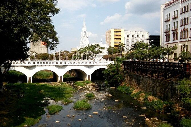 city-tour-of-cali-discover-with-local-experts-cali