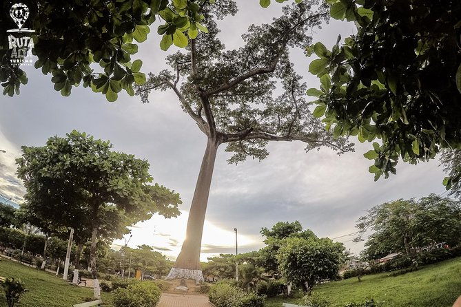 city-tour-of-pucallpa-its-art