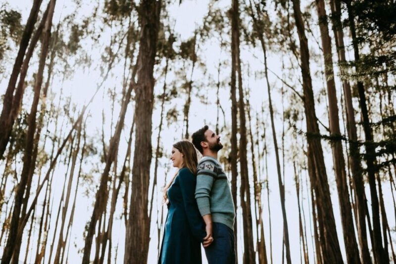 city-tour-with-visit-to-eucalyptus-forest