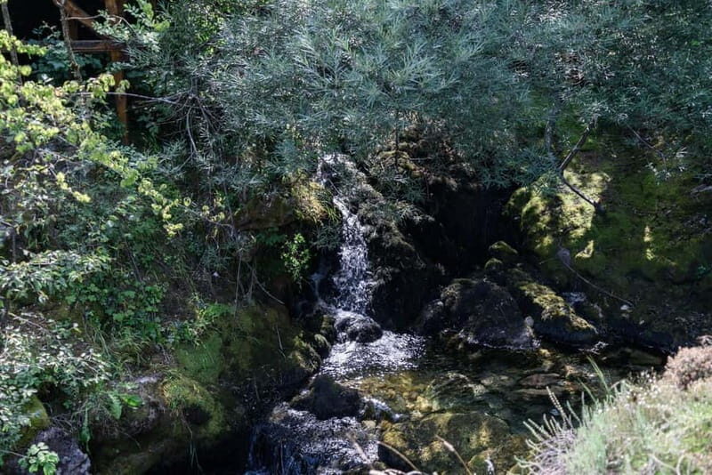 City Trip Struga and Vevchani from Ohrid and Struga - An In-Depth Look at the Itinerary and Highlights