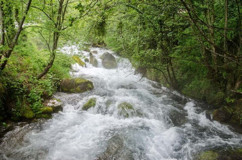 City Trip Struga and Vevchani from Ohrid and Struga - Who Is This Tour Best Suited For?