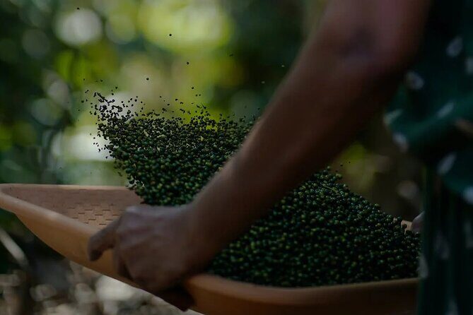 City Walk and Food Crawl in Kumarakom - An In-Depth Look at the Tour Experience