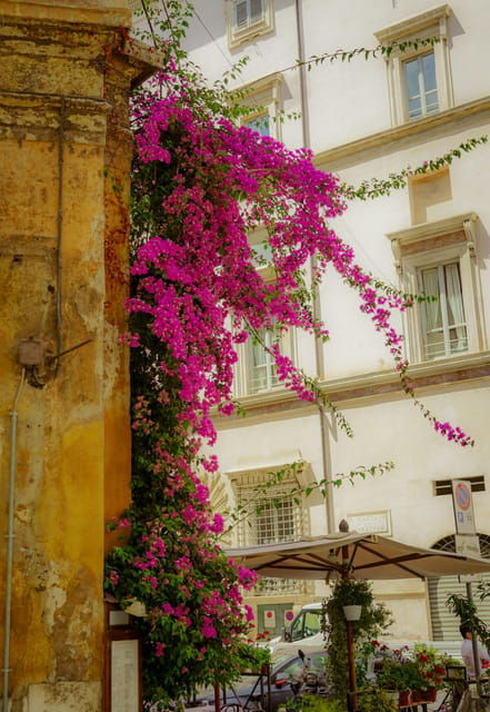 city-walk-with-architect-private-tour-of-rome