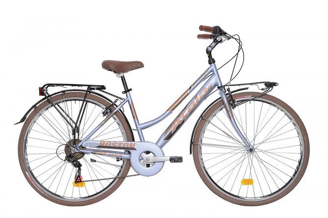 citybike-rental-in-palermo