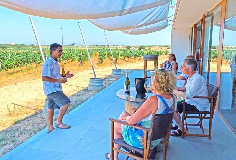 ciutadella-de-menorca-family-winery-tour-with-wine-tasting