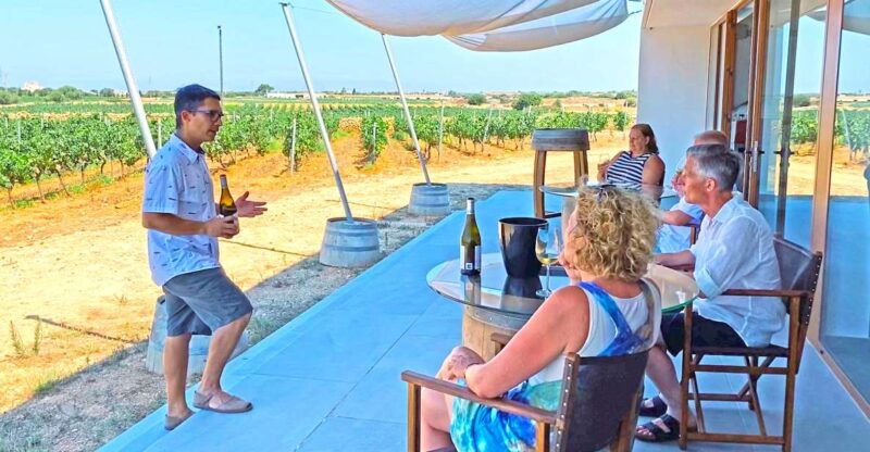 ciutadella-de-menorca-family-winery-tour-with-wine-tasting
