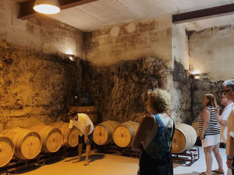 ciutadella-de-menorca-family-winery-tour-with-wine-tasting