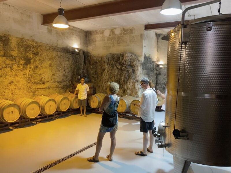 ciutadella-de-menorca-family-winery-tour-with-wine-tasting