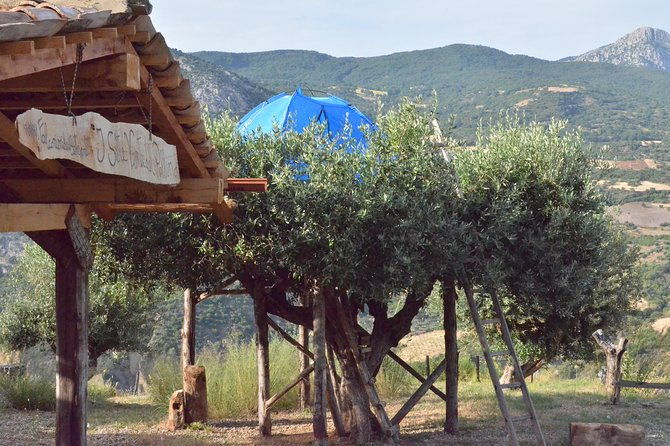 civita-experience-borgo-gole-mountain-and-raptors-of-pollino