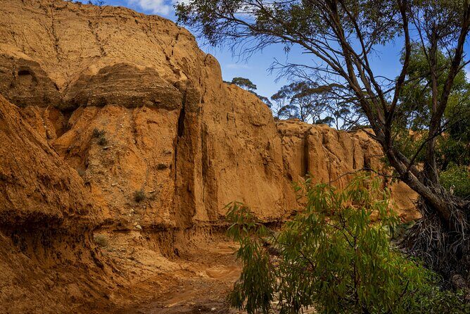 Clare Valley to Red Banks History and Landscape Day Tour - Who Is This Tour Best For?