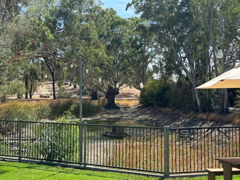 Clare Valley Uncorked: Full-Day Wine Adventure - Key Points