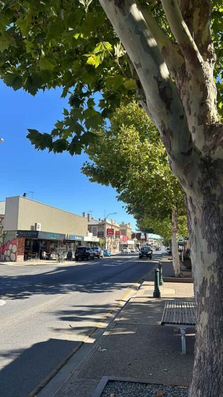 Clare Valley Uncorked: Full-Day Wine Adventure - The Details: What You Need to Know