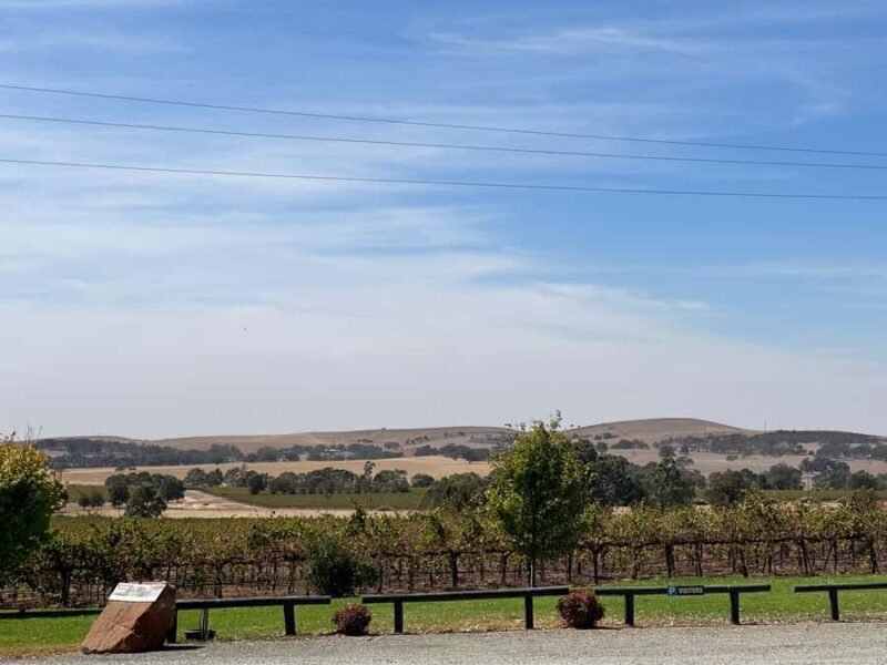 Clare Valley Uncorked: Full-Day Wine Adventure - Frequently Asked Questions