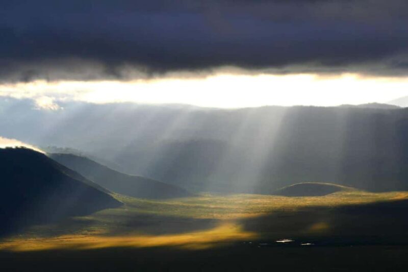 Classic 2-Day Lake Manyara and Ngorongoro Crater Safari - A Practical Breakdown of the Safari Experience