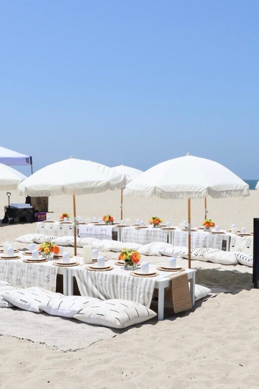 Classic Beach Picnic in Santa Monica - The Value of the Experience