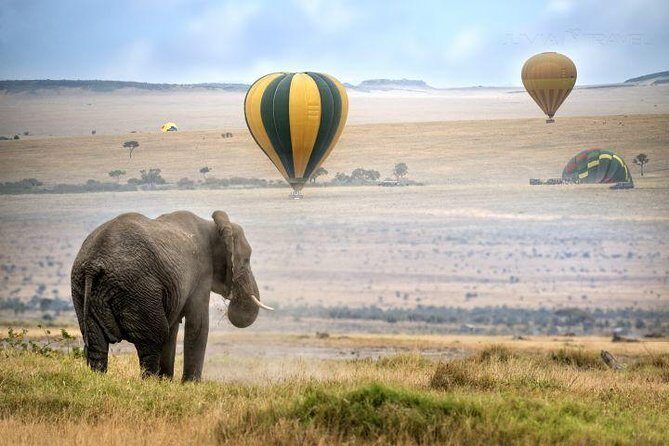 Classic Best Adventure In Kenya And Tanzania 2025 - Final Thoughts