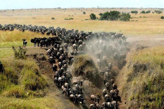 Classic Best Adventure In Kenya And Tanzania 2025 - Final Word
