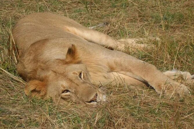 Classic Best of Kenya - Why This Tour Offers Great Value