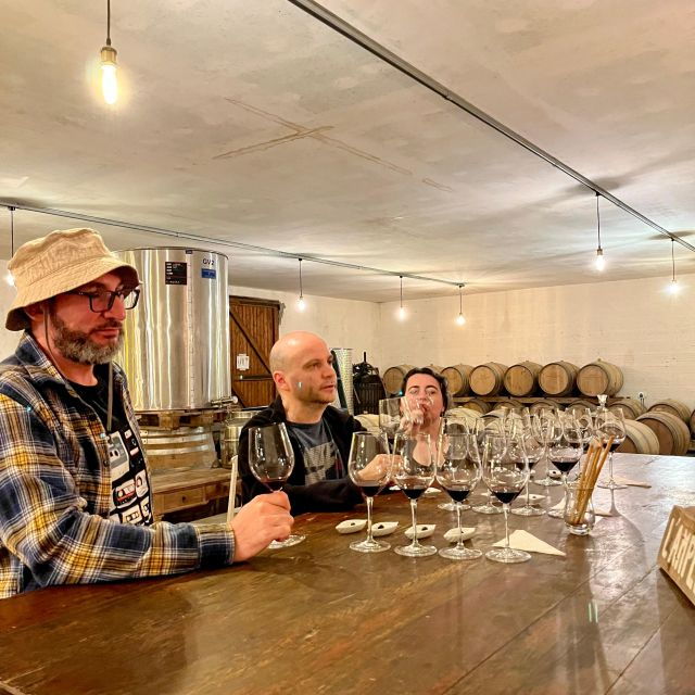 classic-car-private-tour-half-day-margaux-medoc