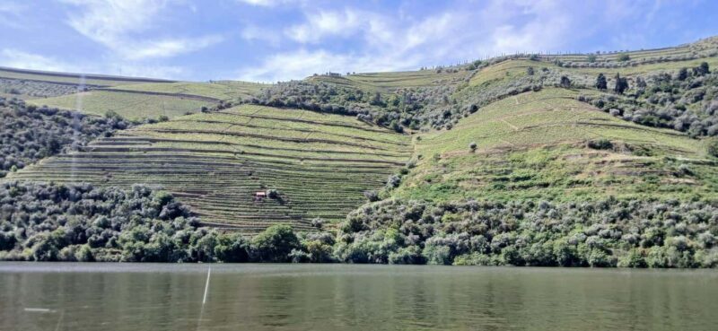 Classic Douro Tour: River, Train, Wine & Private Guide - Final Thoughts: Who Should Consider This Tour?