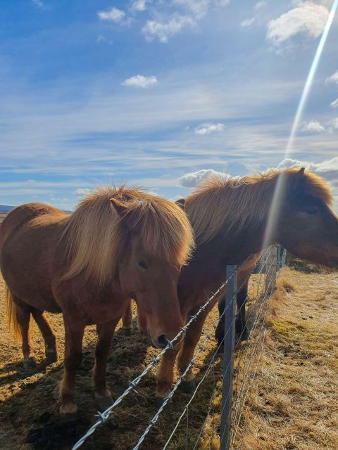 classic-golden-circle-full-day-private-tour-from-reykjavik