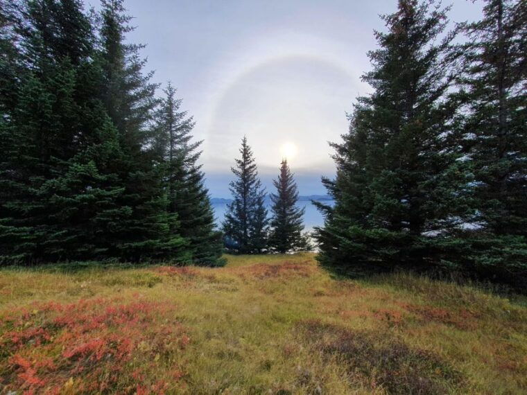 classic-golden-circle-full-day-private-tour-from-reykjavik