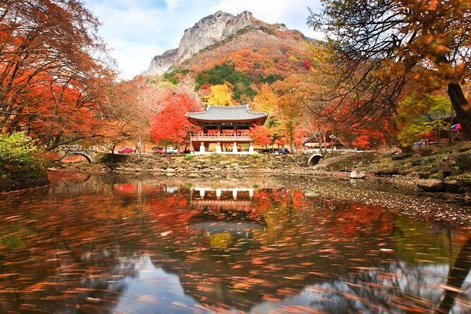 Classic Naejangsan National Park One Day Tour (Autumn Limited - Key Points