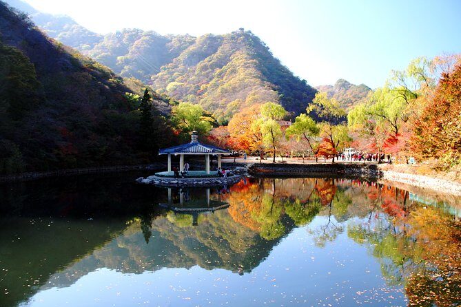 Classic Naejangsan National Park One Day Tour (Autumn Limited - Pricing & Value Analysis