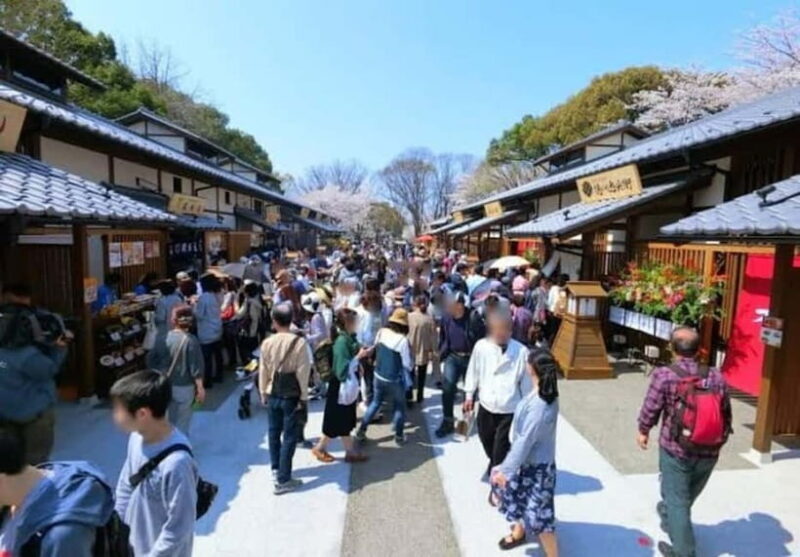 Classic Nagoya tour with private van - FAQ