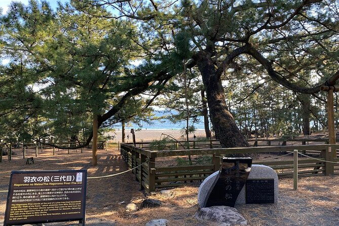 classic-shizuoka-with-mt-fuji-viewing-1-day-private-tour