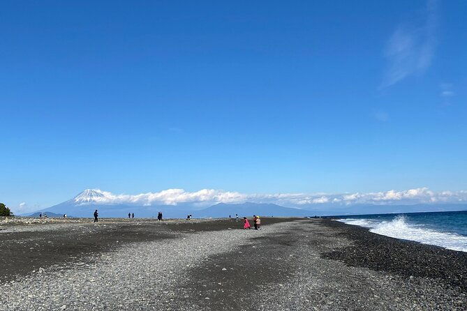 classic-shizuoka-with-mt-fuji-viewing-1-day-private-tour