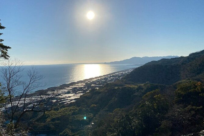 classic-shizuoka-with-mt-fuji-viewing-1-day-private-tour
