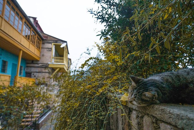 classic-tbilisi-walking-tour