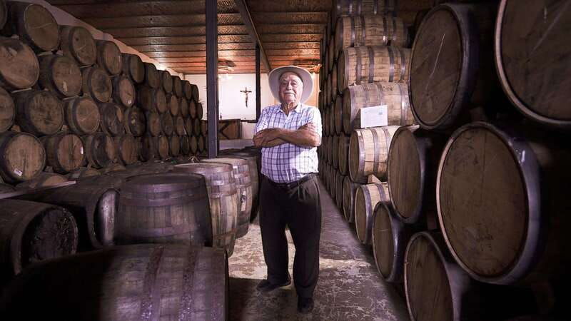 classic-tequila-trail-tour-from-guadalajara