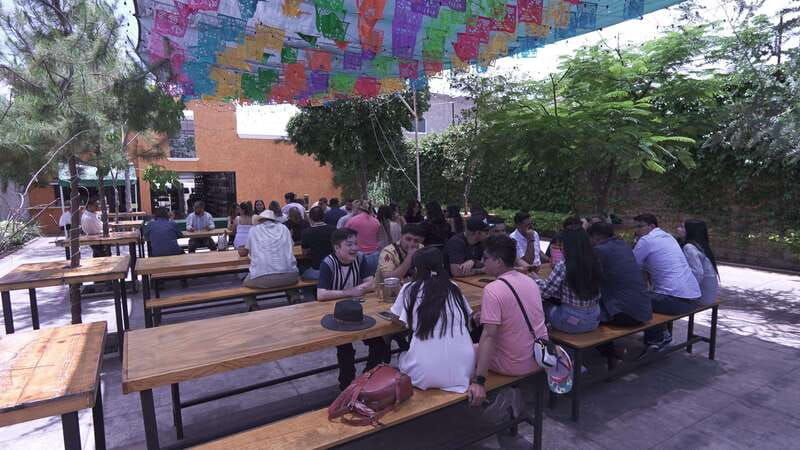 classic-tequila-trail-tour-from-guadalajara