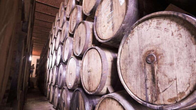 classic-tequila-trail-tour-from-guadalajara