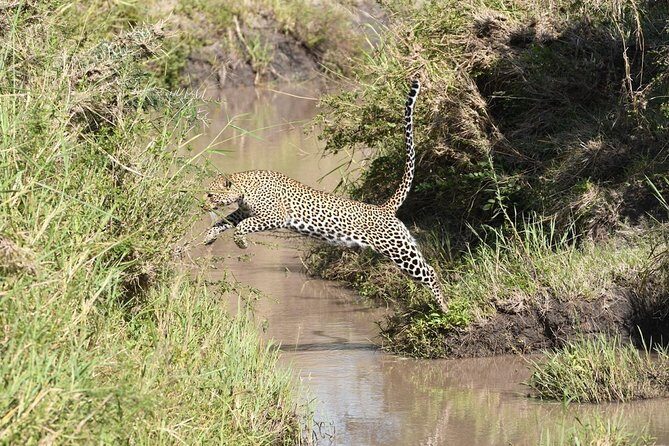 Classic Thrilling Kenya, Tanzania and Zanzibar 2024 - Final Thoughts