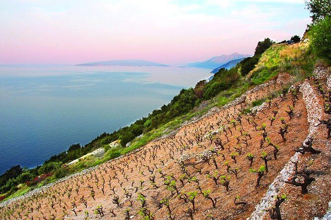 Classic Tour with Wine Tastings from Dubrovnik - What Makes This Tour Stand Out?