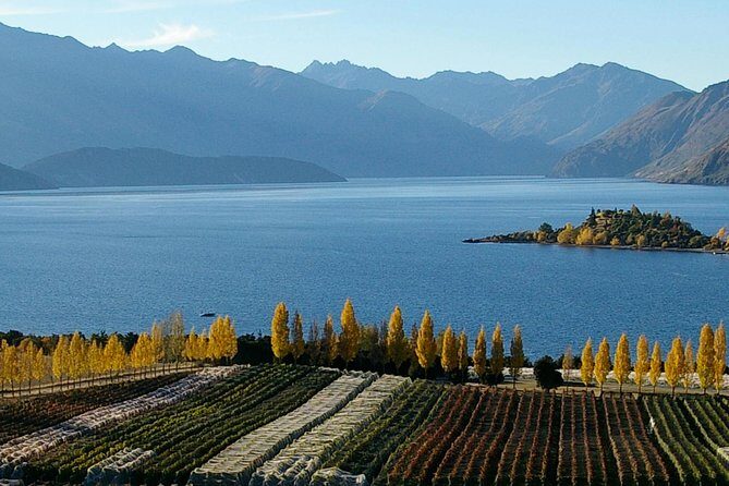 Classic Wanaka Wine Tour - An Insightful Look at the Itinerary